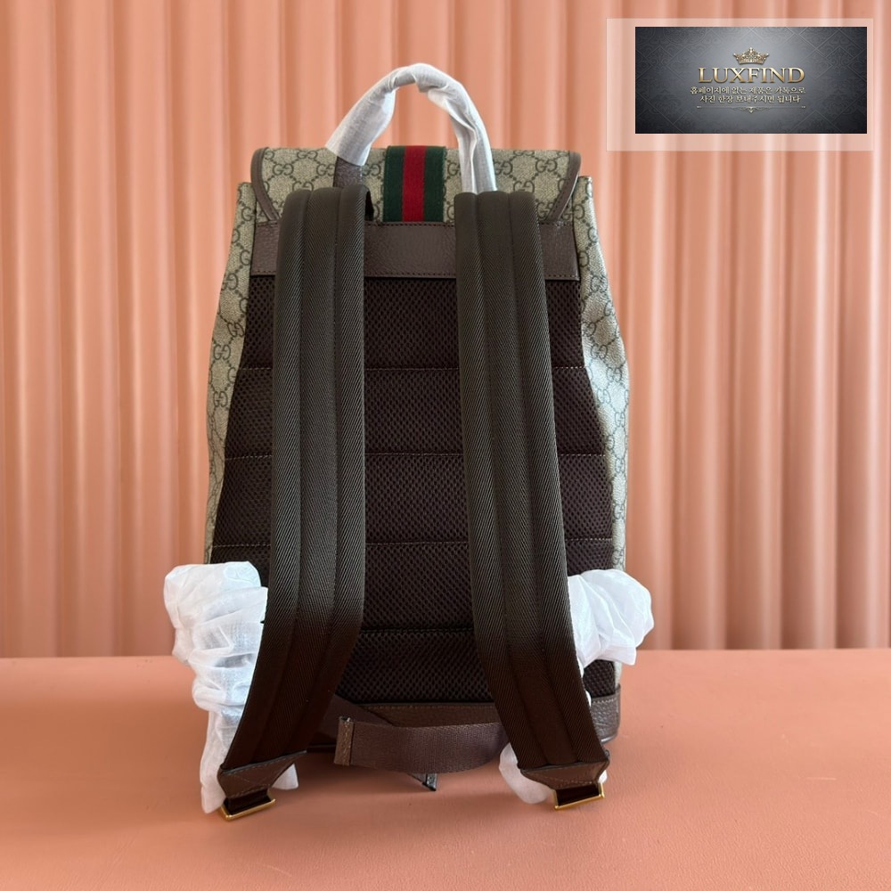 Gucci Ophidia Backpack