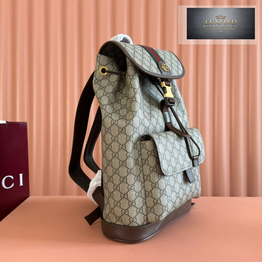 Gucci Ophidia Backpack