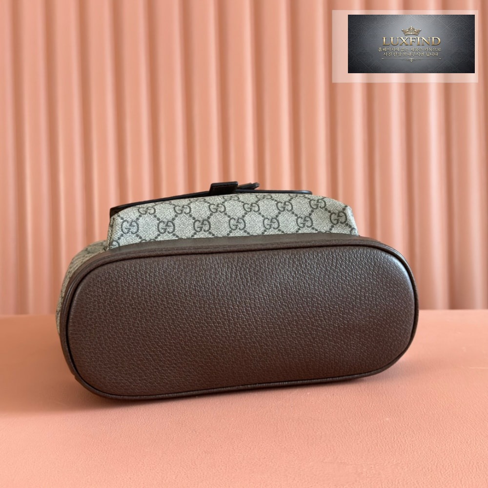 Gucci Ophidia Backpack
