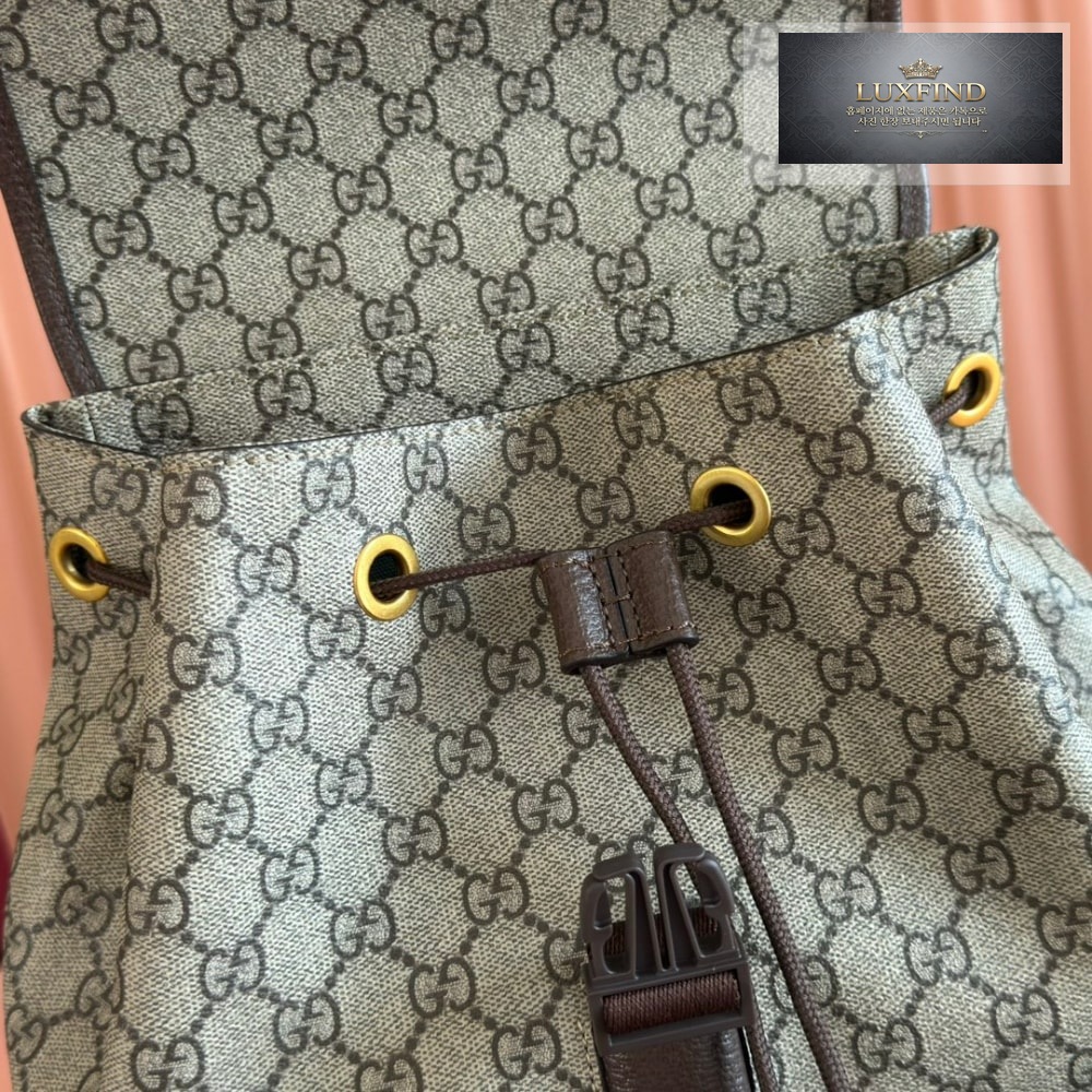 Gucci Ophidia Backpack