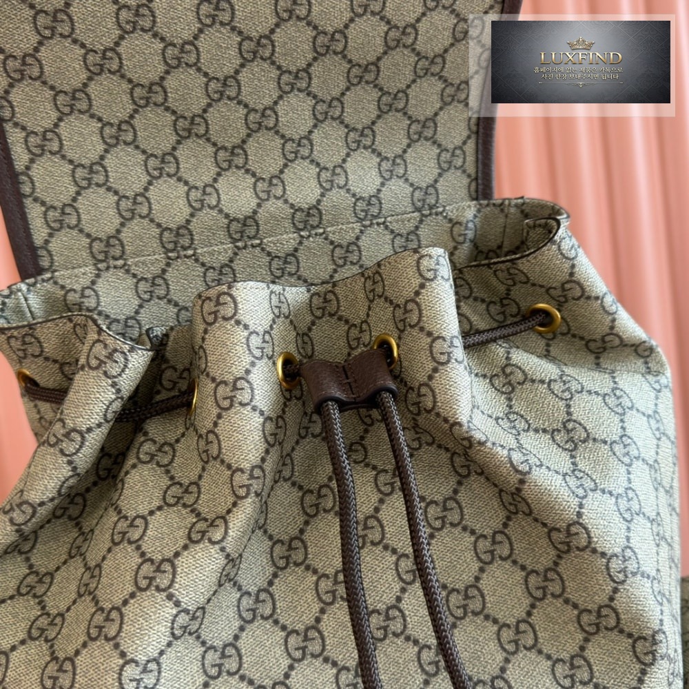 Gucci Ophidia Backpack