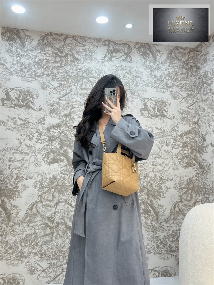 디올 뚜주흐 스몰 버티컬 토트백 라이트 골드 매크로까나쥬