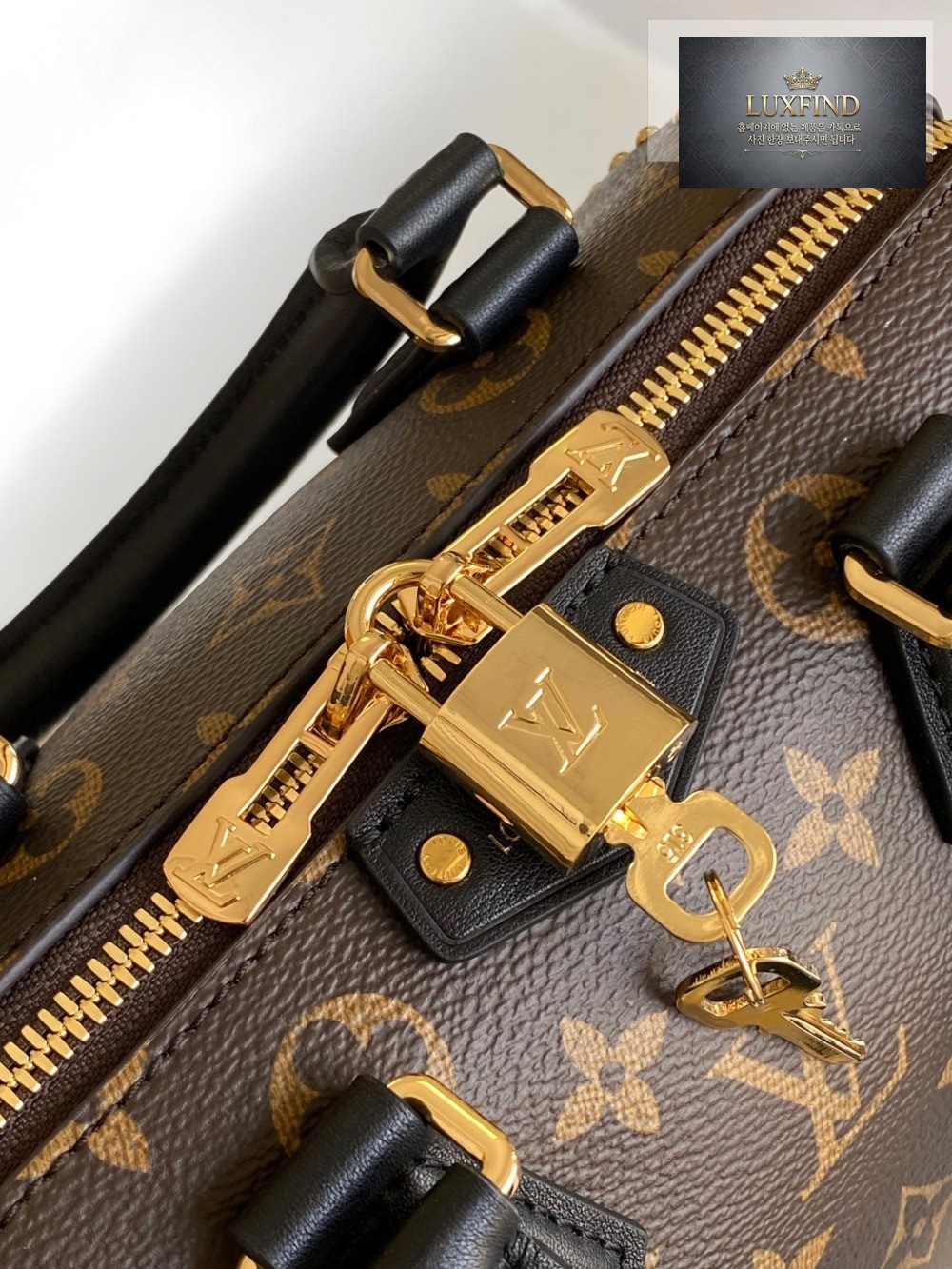 Louis Vuitton Speedy Trunk 20