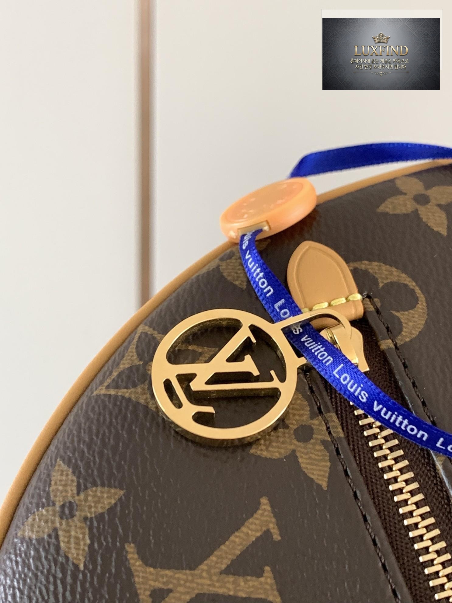 Louis Vuitton Loop Hobo Monogram