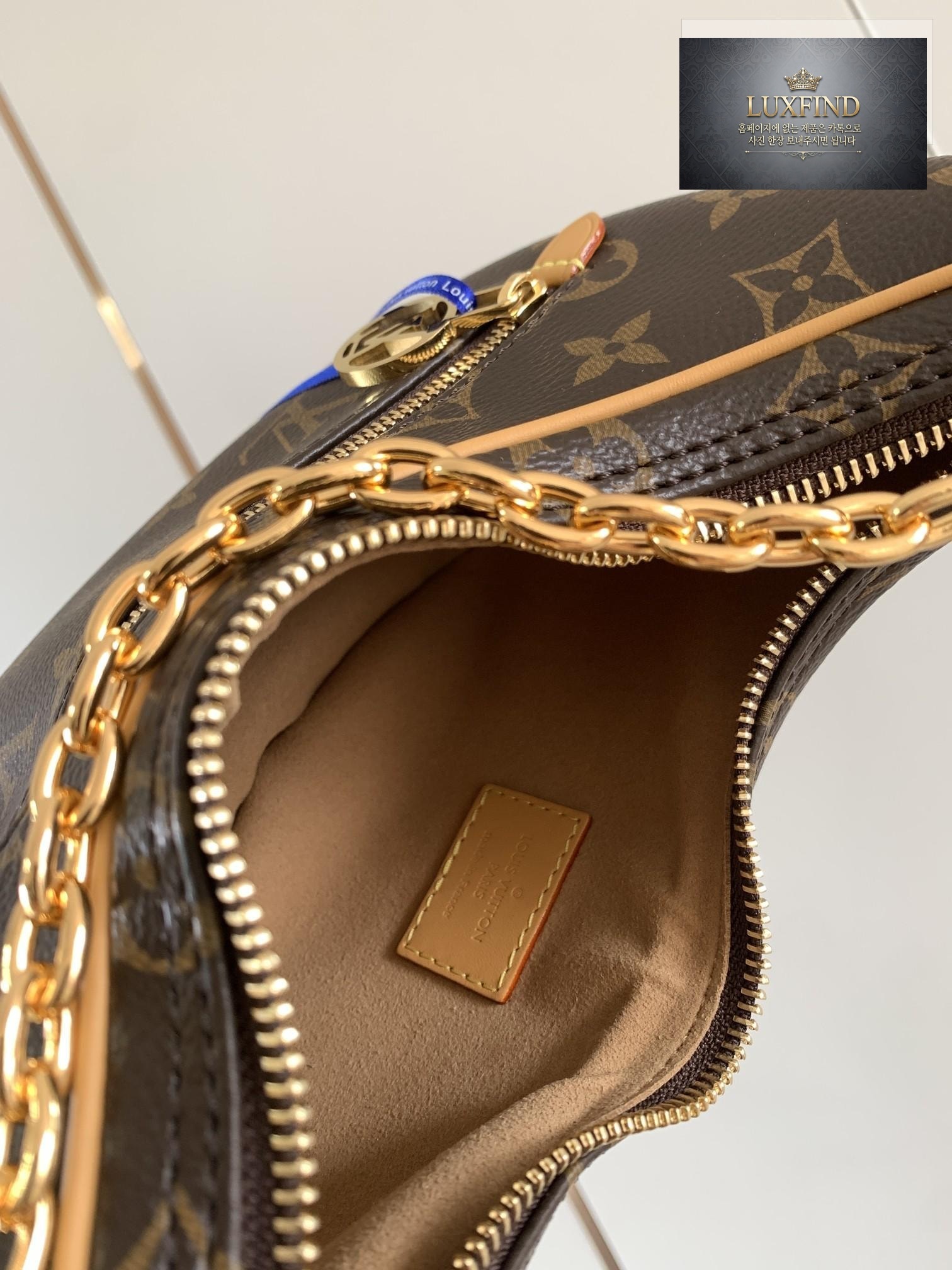 Louis Vuitton Loop Hobo Monogram