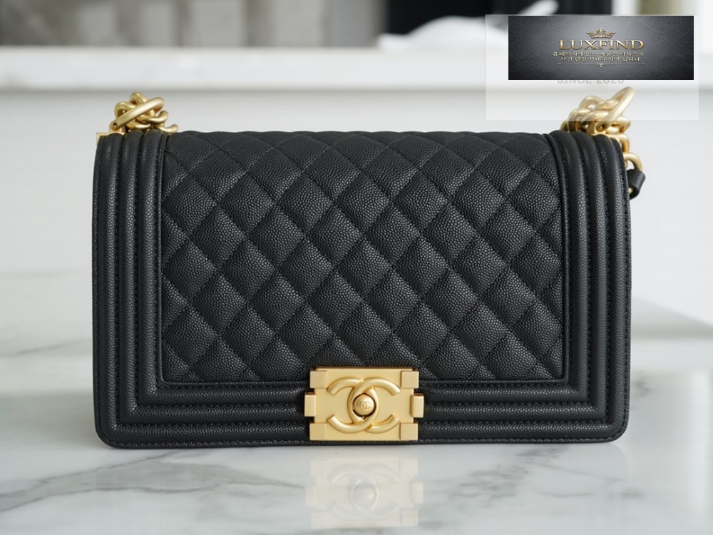 Chanel Le Boy Handbag