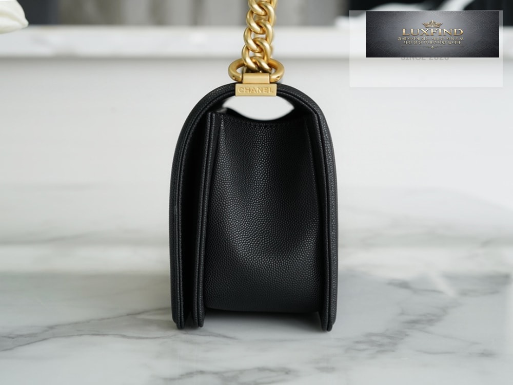 Chanel Le Boy Handbag
