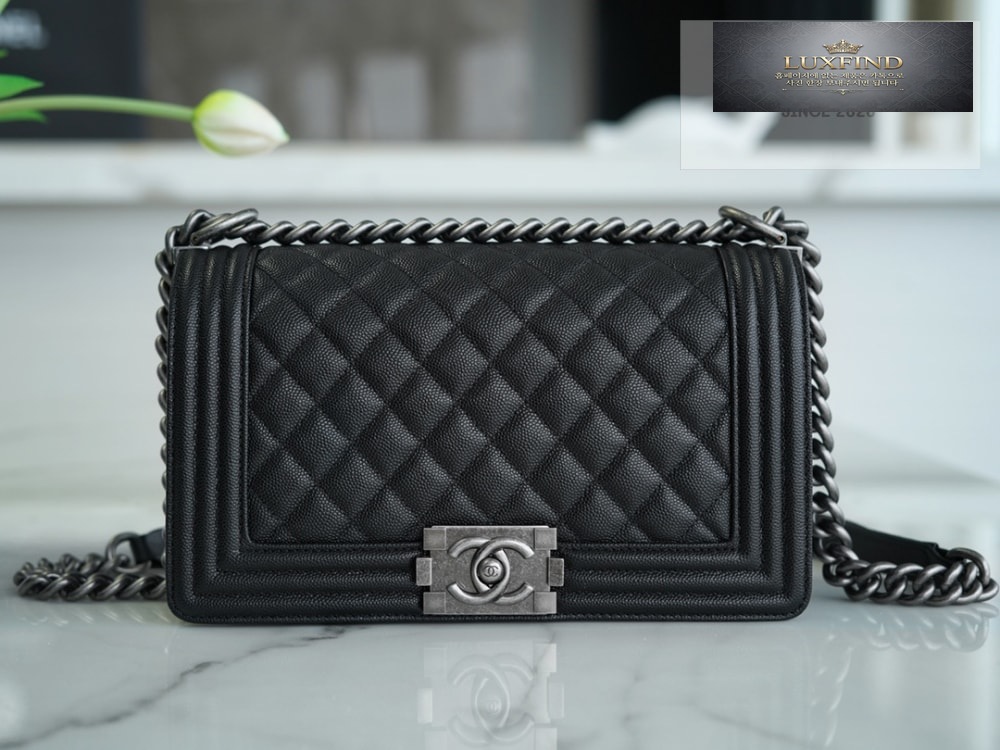 Chanel Le Boy Handbag