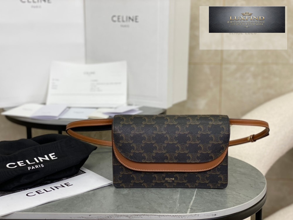 Celine Wallet on strap in Triomphe Canvas