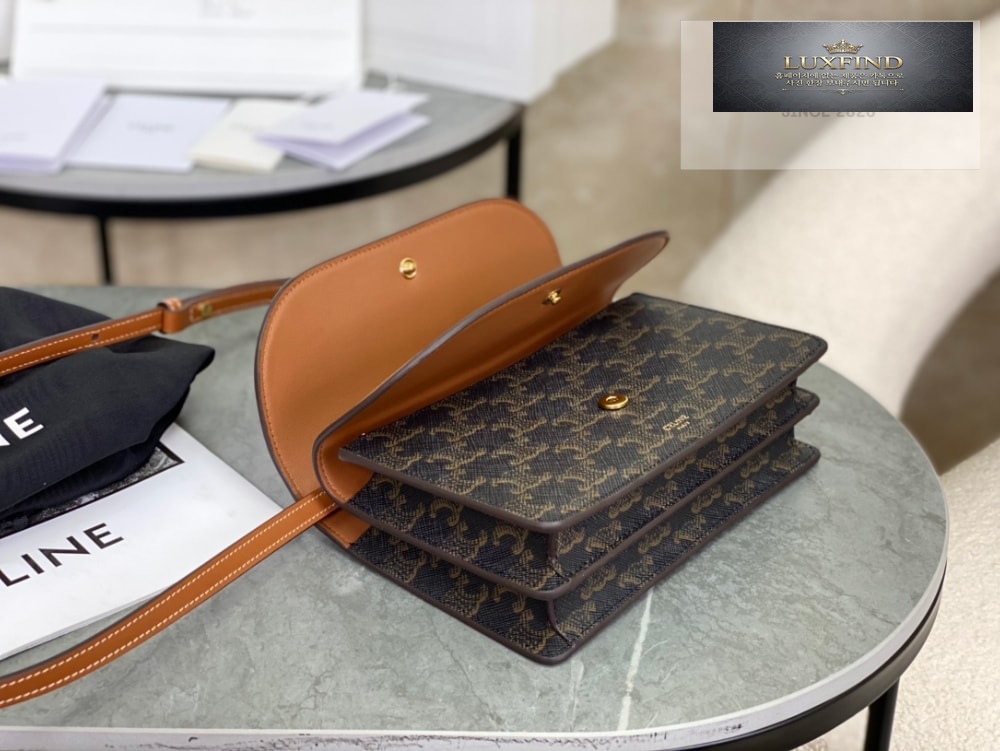 Celine Wallet on strap in Triomphe Canvas