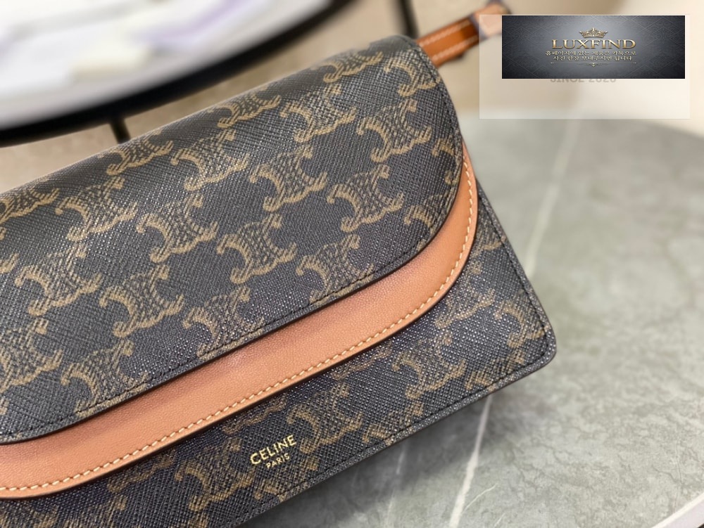 Celine Wallet on strap in Triomphe Canvas