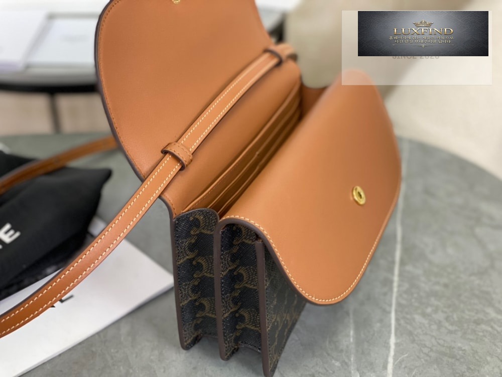 Celine Wallet on strap in Triomphe Canvas