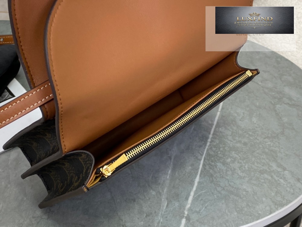 Celine Wallet on strap in Triomphe Canvas