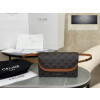 Celine Wallet on strap in Triomphe Canvas