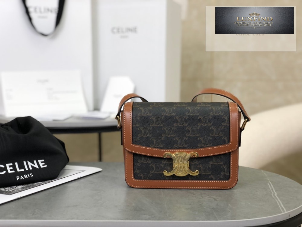 Celine Teen Triomphe Canvas Bag