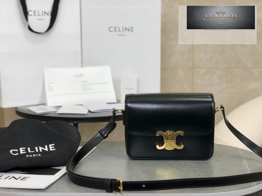 Celine Teen Triomphe Bag Shiny Calfskin