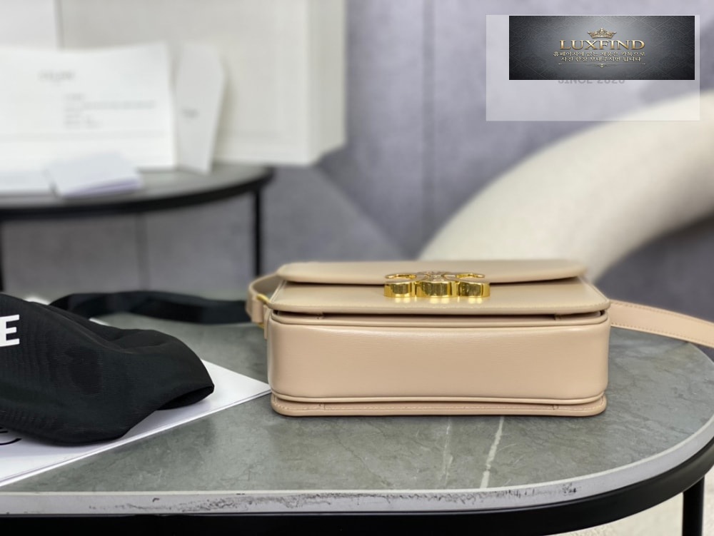 Celine Teen Triomphe Bag Shiny Calfskin