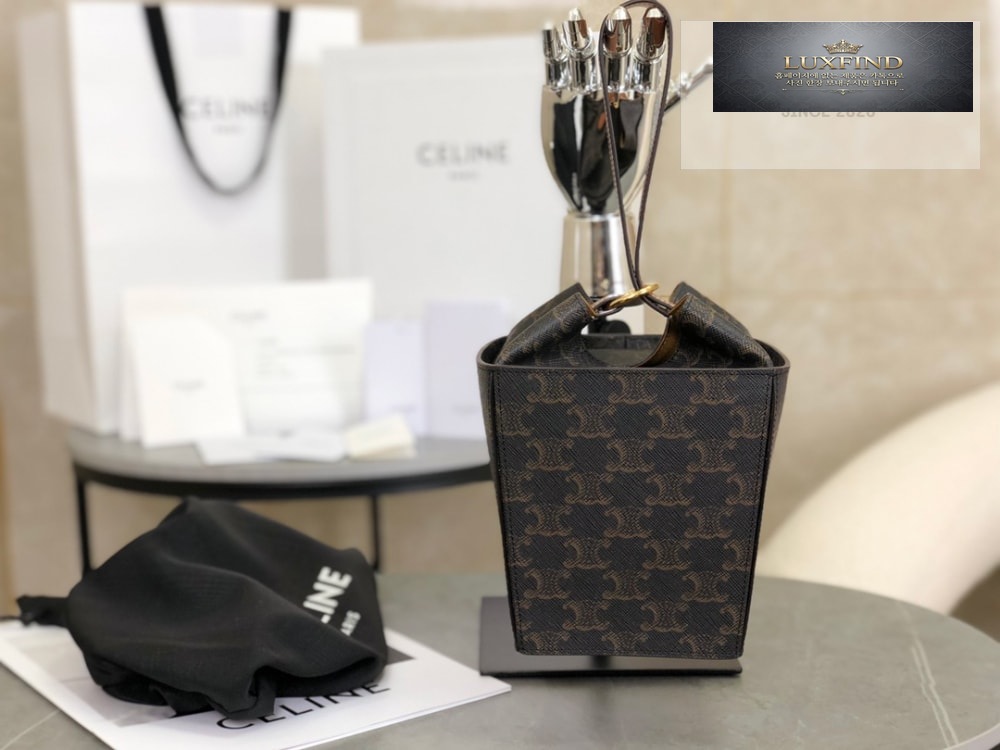 Celine Strap Box Triomphe Canvas and Calfskin