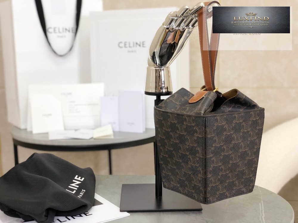 Celine Strap Box Triomphe Canvas and Calfskin