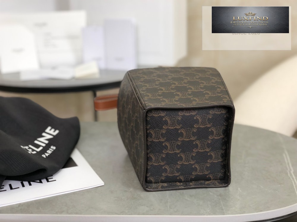 Celine Strap Box Triomphe Canvas and Calfskin