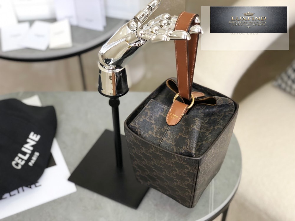 Celine Strap Box Triomphe Canvas and Calfskin