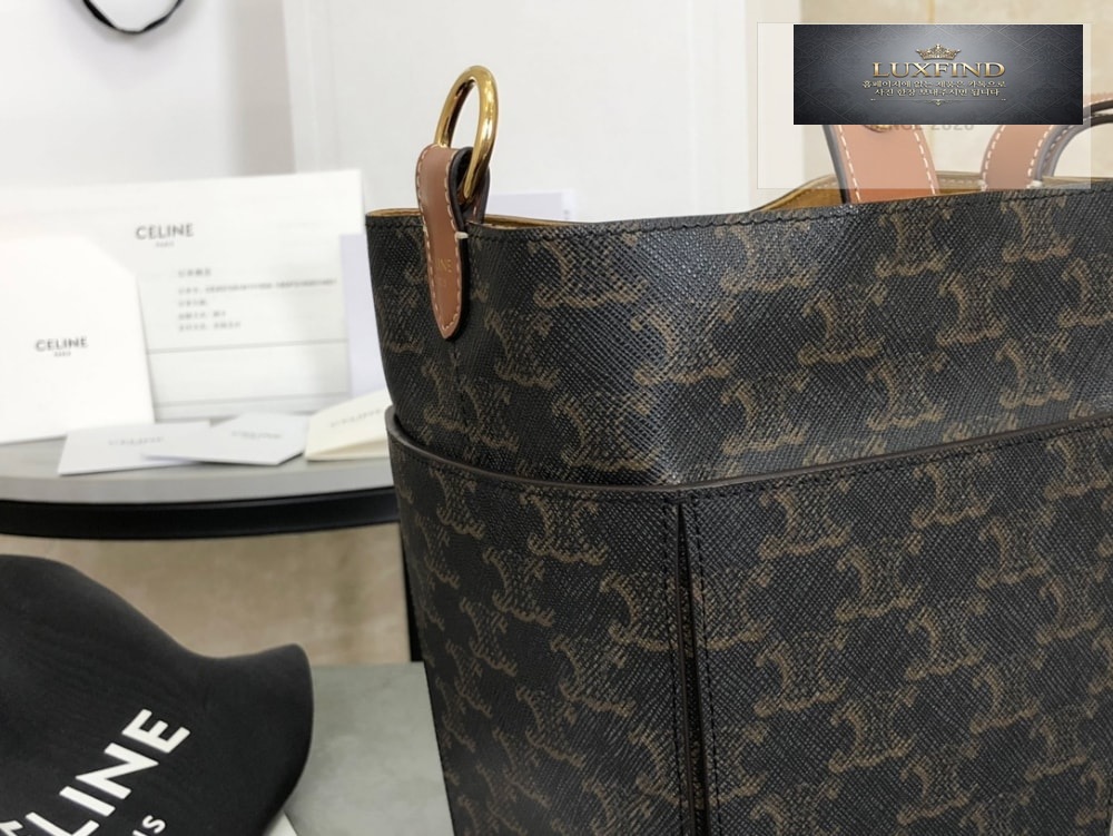 Celine Strap Box Triomphe Canvas and Calfskin