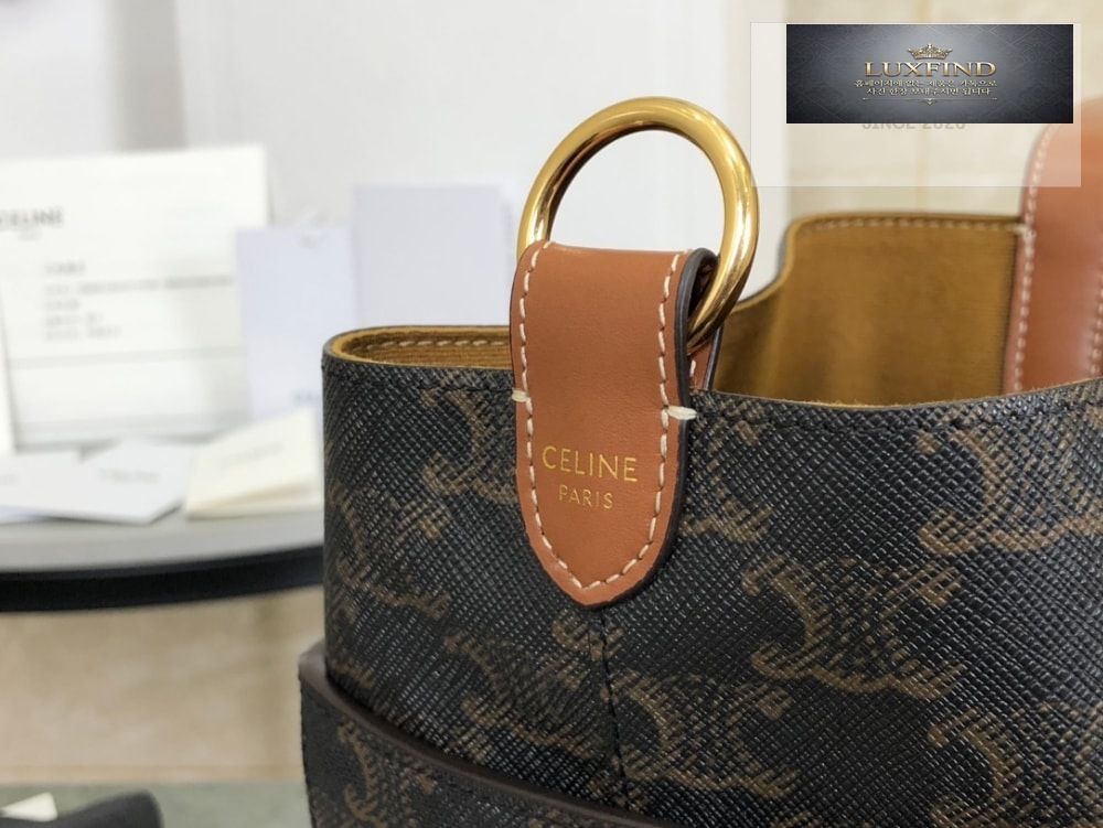 Celine Strap Box Triomphe Canvas and Calfskin