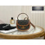 Celine Mini Clea Vesace Canvas & Calfskin