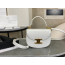 Celine Mini Clea Vesace Calfskin