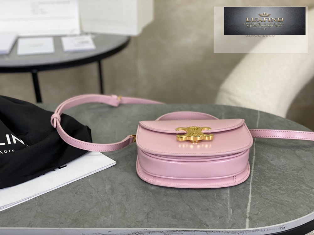 Celine Mini Clea Vesace Calfskin