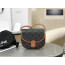 Celine Mini Besace Triomphe Canvas and Calfskin