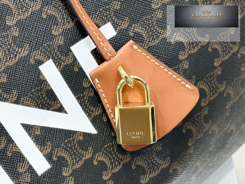 Celine Large Voyage Triomphe Canvas with Celine Print