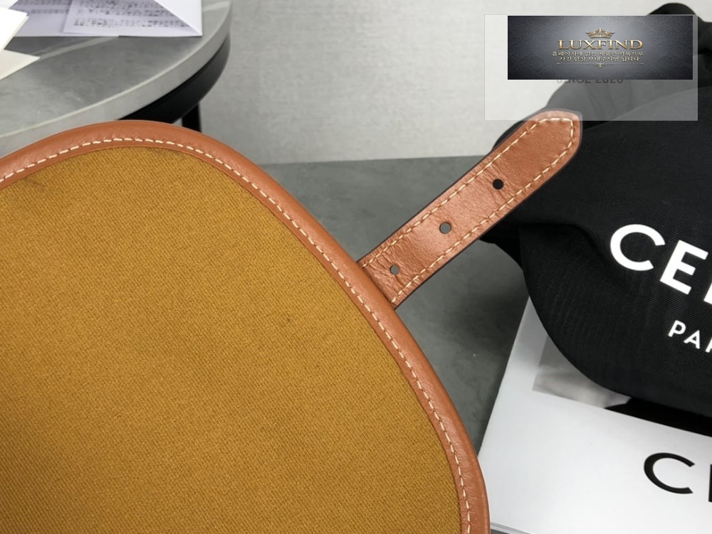 Celine Folco bag in Triomphe Canvas and Calfskin