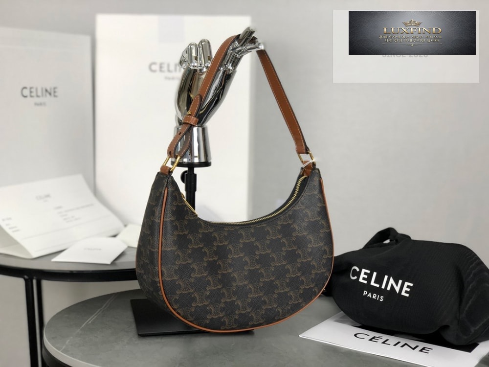 Celine Ava Bag in Triomphe Canvas and Calfskin
