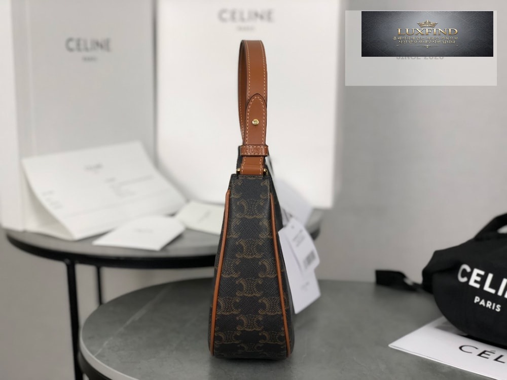 Celine Ava Bag in Triomphe Canvas and Calfskin