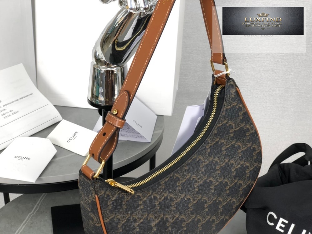 Celine Ava Bag in Triomphe Canvas and Calfskin
