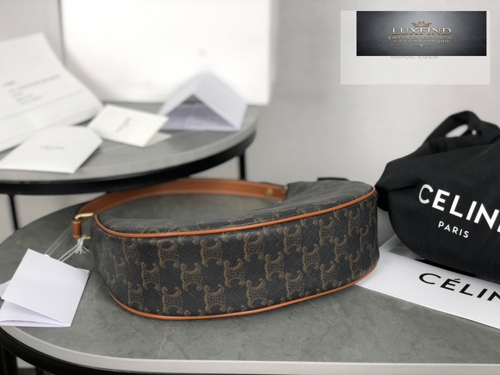 Celine Ava Bag in Triomphe Canvas and Calfskin