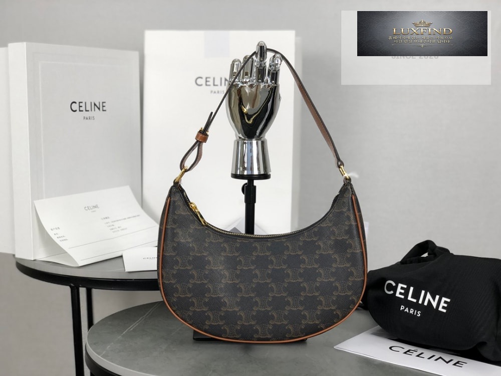 Celine Ava Bag in Triomphe Canvas and Calfskin