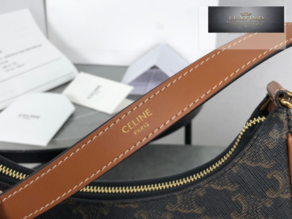 Celine Ava Bag in Triomphe Canvas and Calfskin