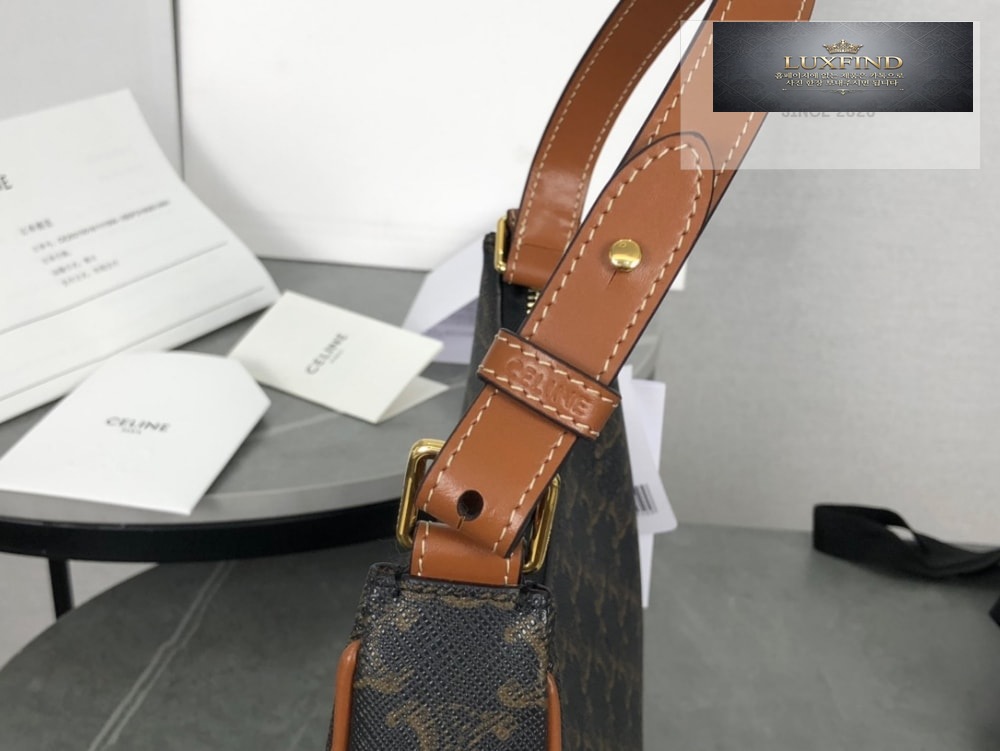 Celine Ava Bag in Triomphe Canvas and Calfskin