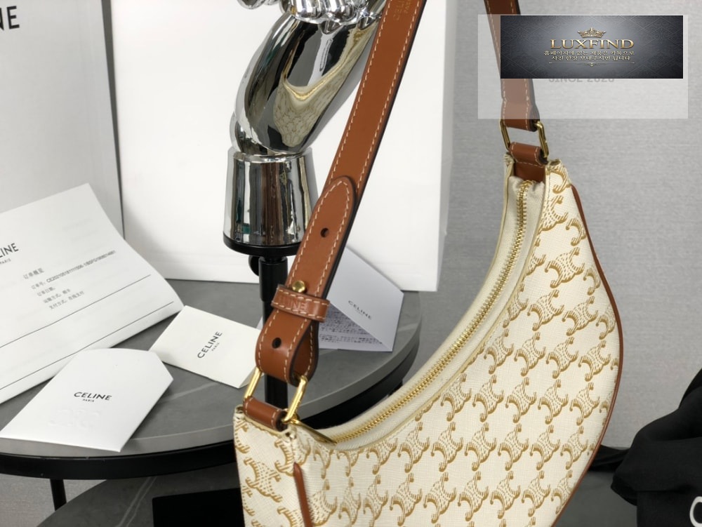 Celine Ava Bag in Triomphe Canvas and Calfskin