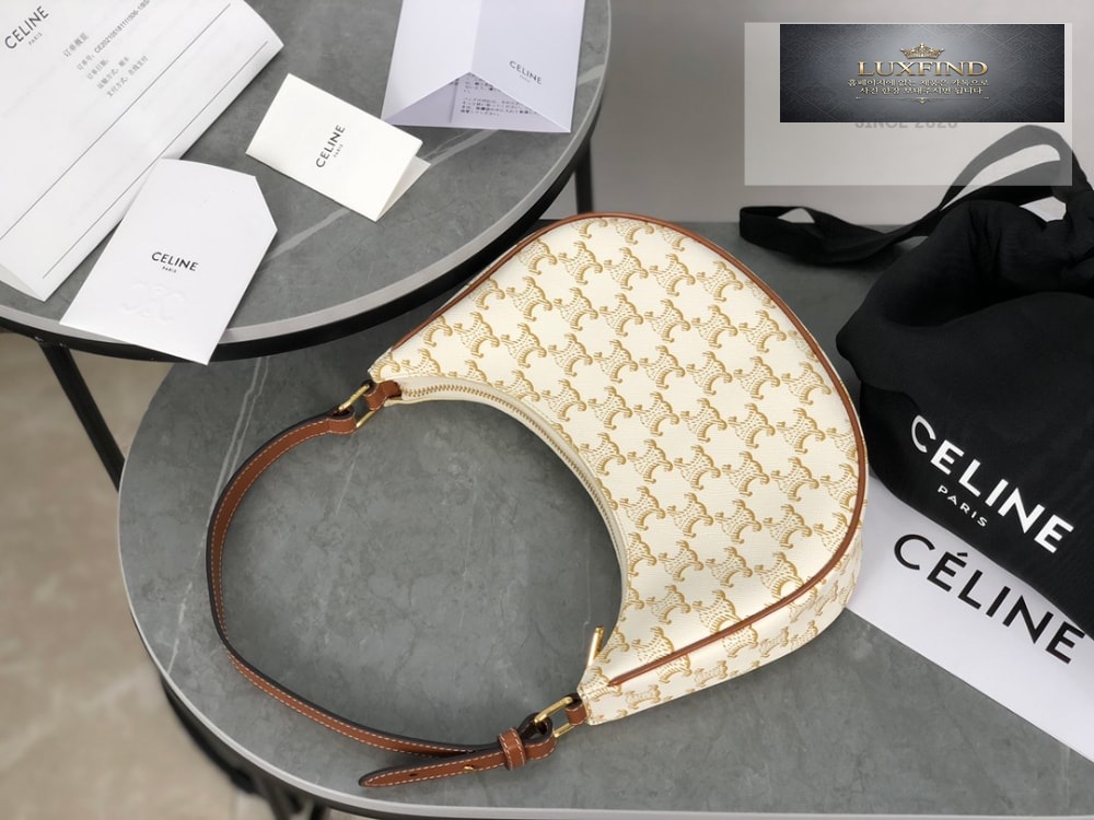 Celine Ava Bag in Triomphe Canvas and Calfskin