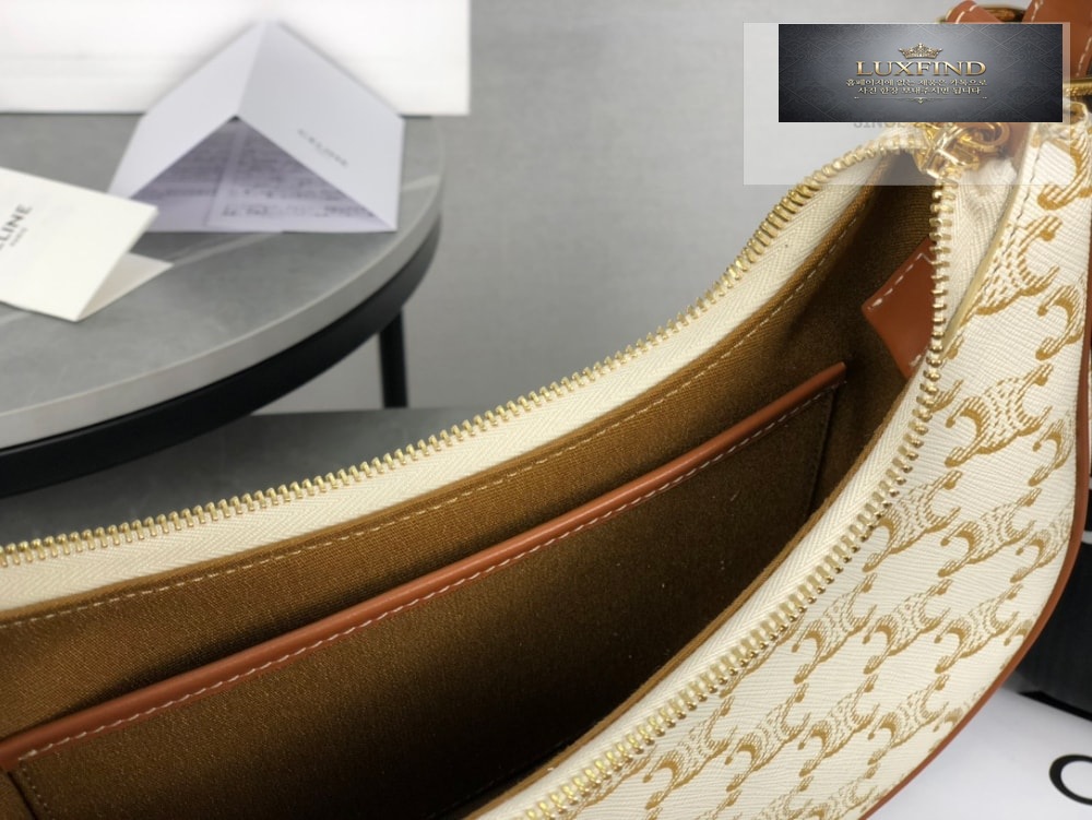 Celine Ava Bag in Triomphe Canvas and Calfskin