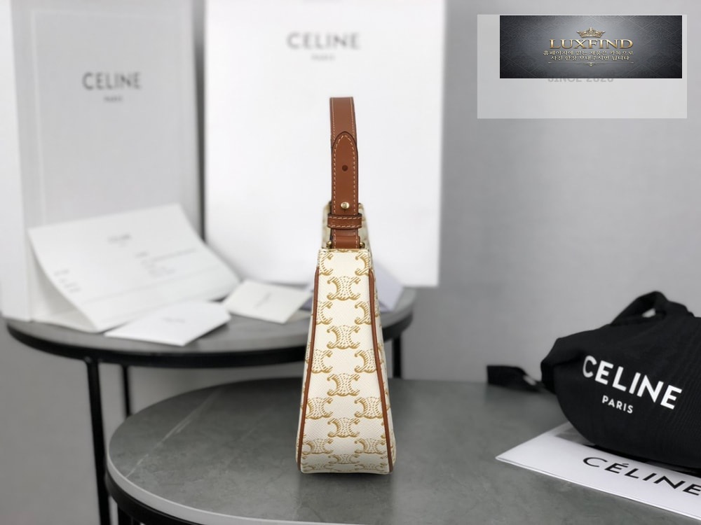 Celine Ava Bag in Triomphe Canvas and Calfskin
