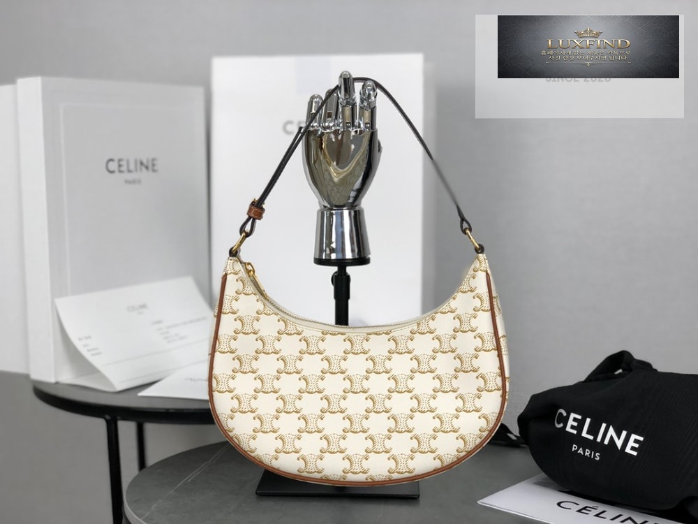 Celine Ava Bag in Triomphe Canvas and Calfskin