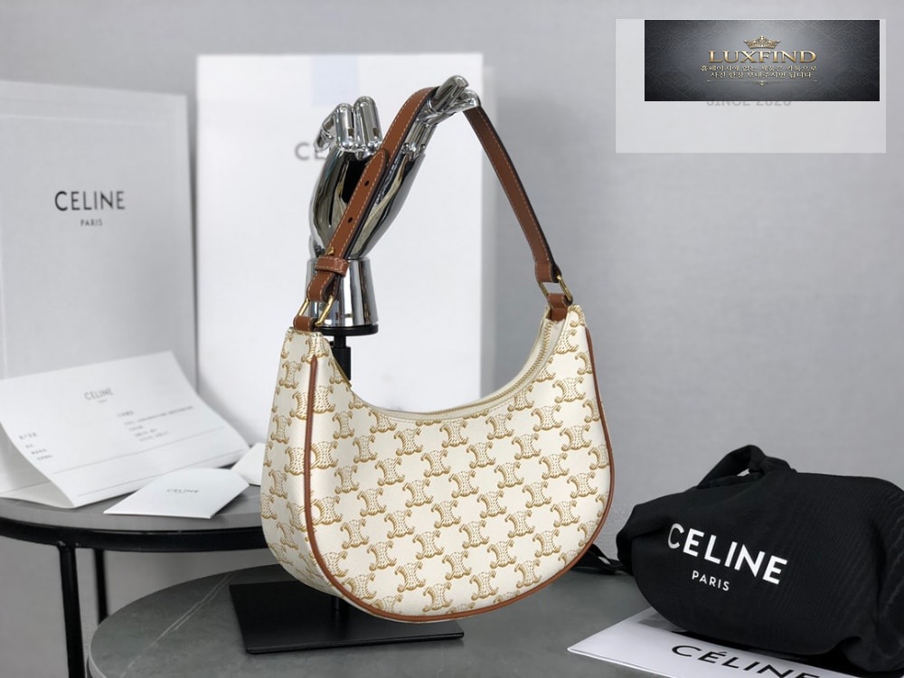 Celine Ava Bag in Triomphe Canvas and Calfskin